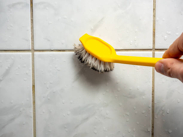 Best Kitchen Mold Remediation in Orangevale, CA