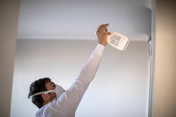 Best Mold Testing and Inspection Services in Orangevale, CA